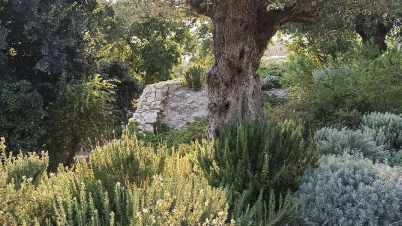 Photo of Outdoor in Arcos de la Frontera
