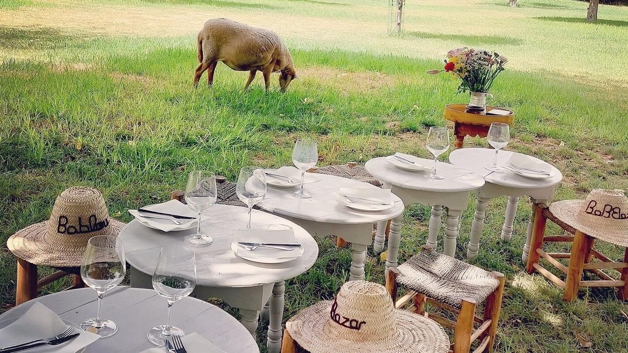 Photo of Outdoor in Arcos de la Frontera