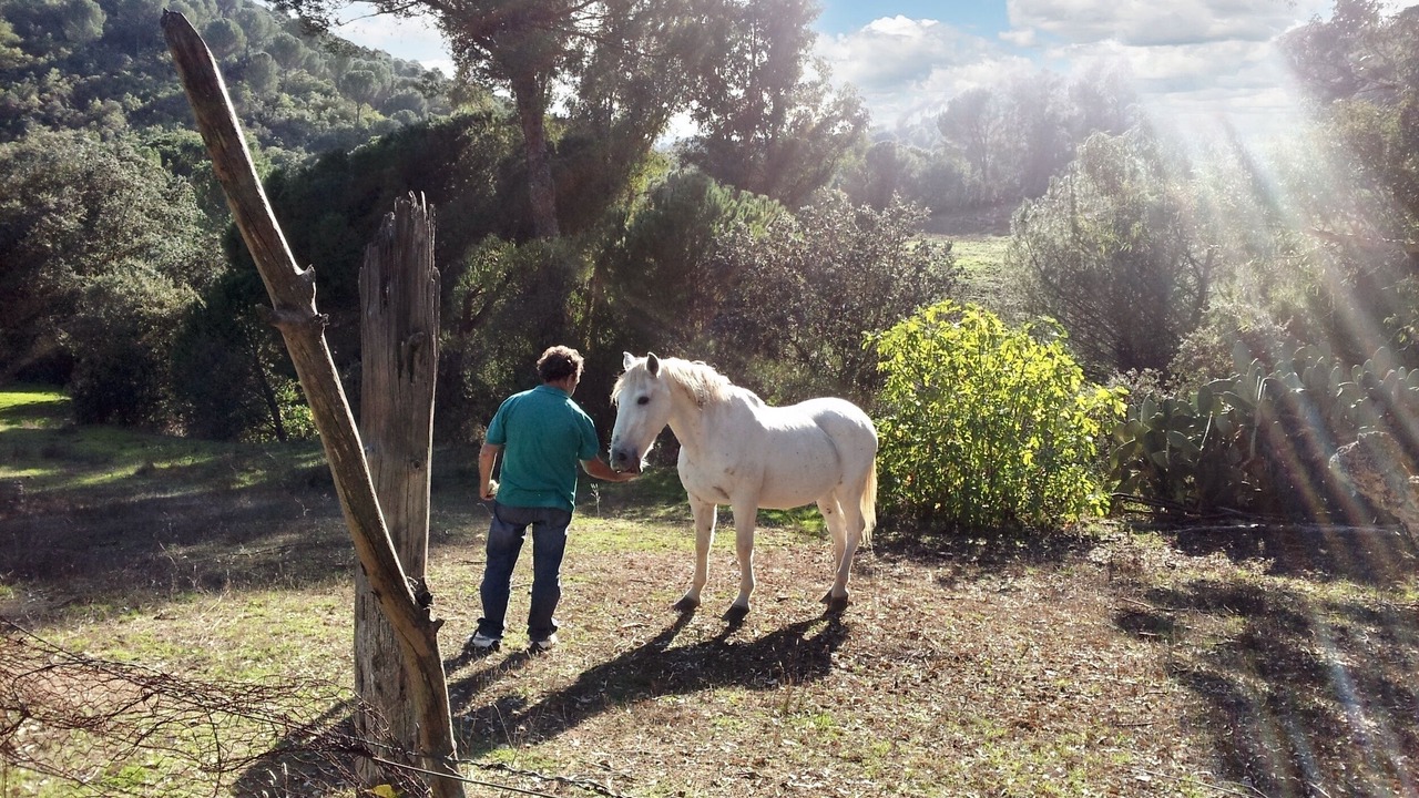 Photo of Outdoor in Cordoba