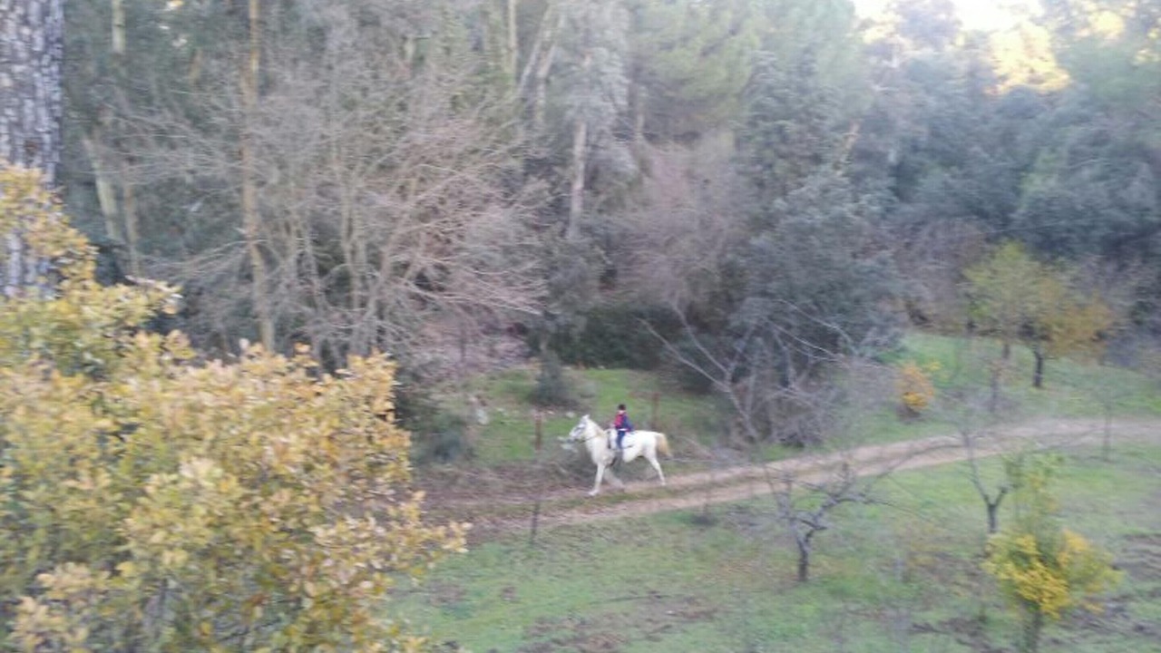 Photo of Outdoor in Cordoba