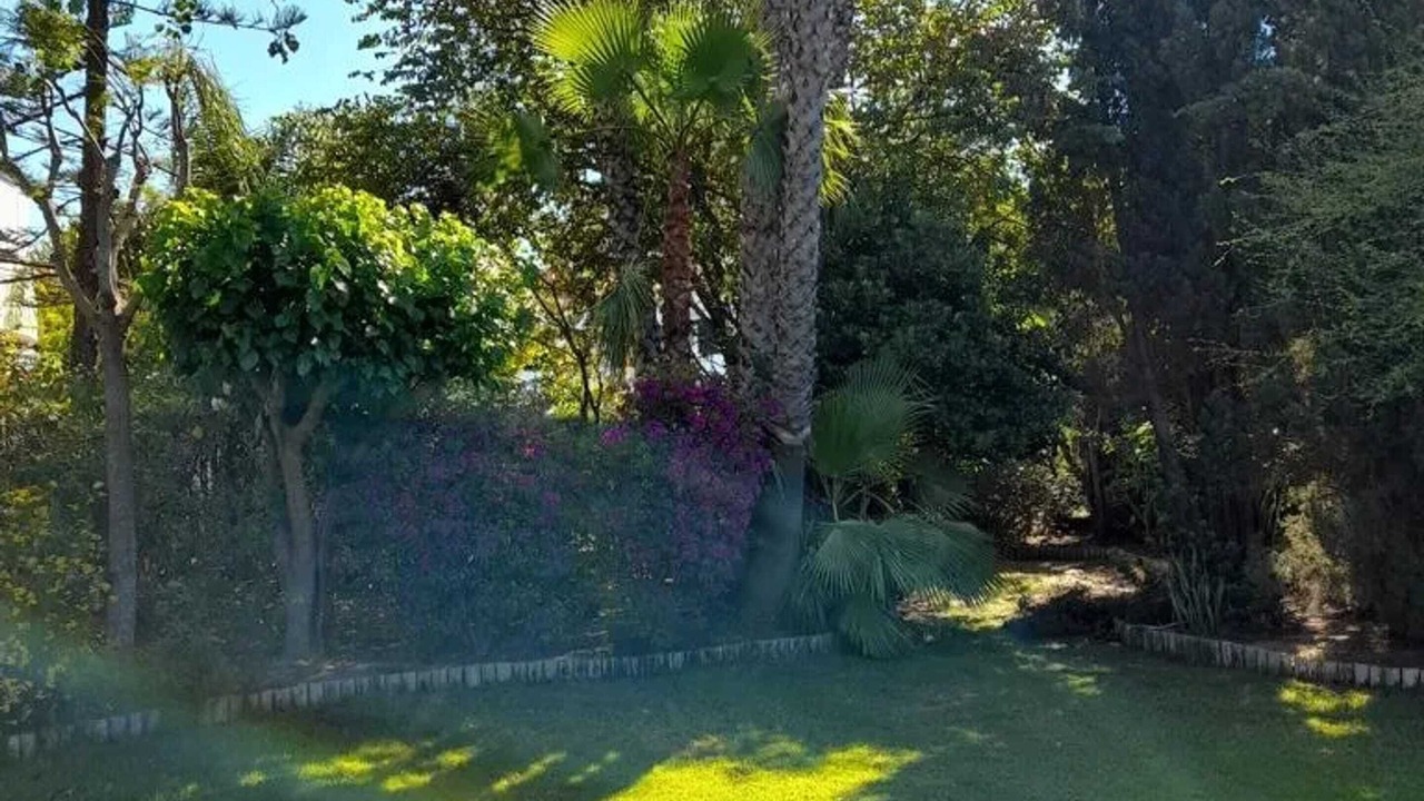 Photo of Outdoor in El Rompido