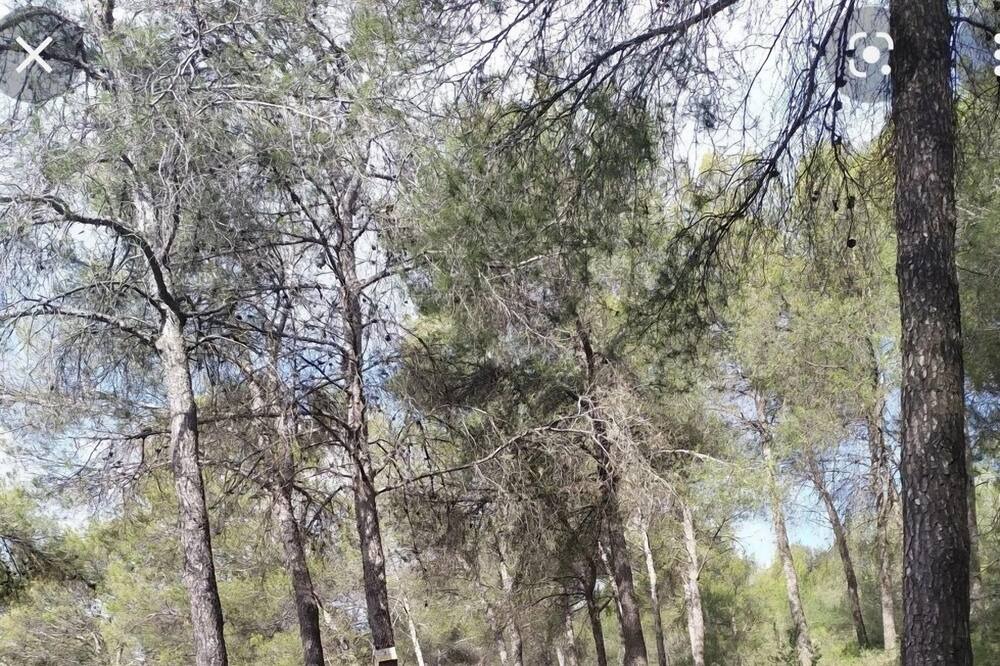 Photo of Outdoor in Montellano