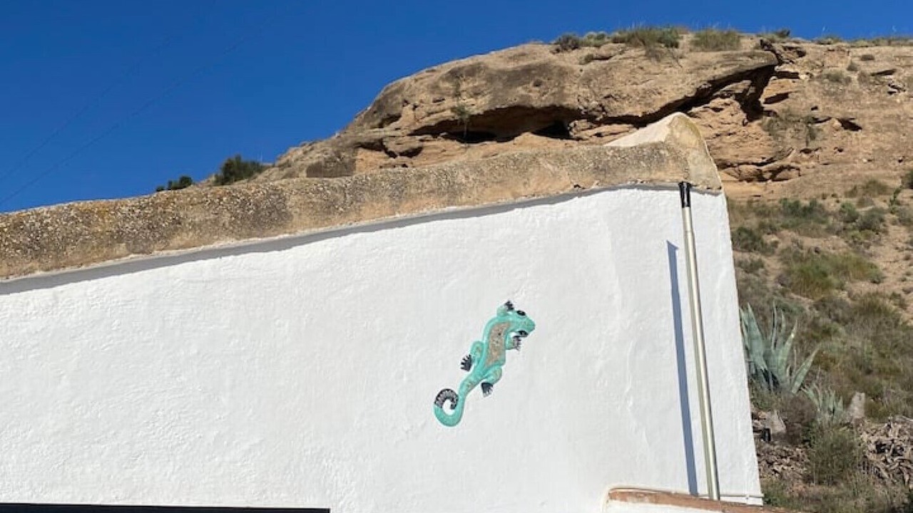 Photo of Outdoor in Locaiba