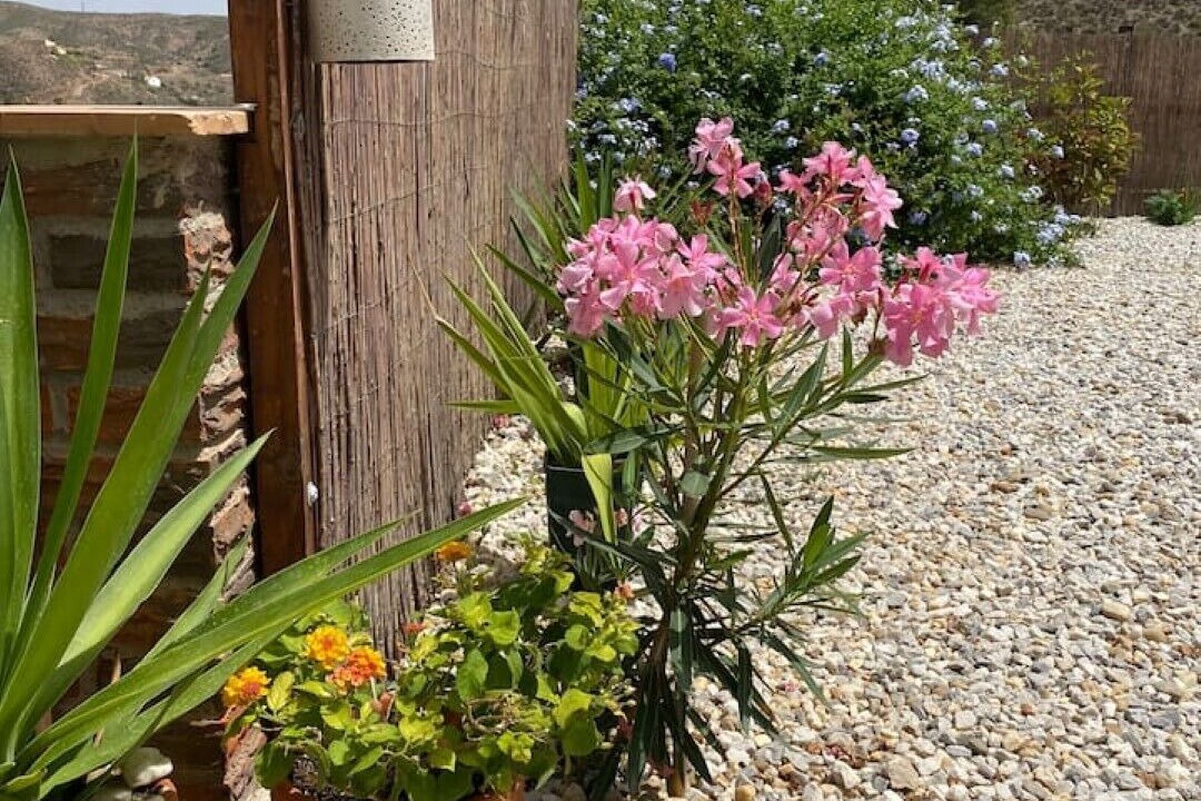 Photo of Outdoor in Locaiba