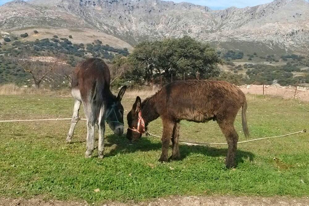 Photo of Others in Las Lagunillas