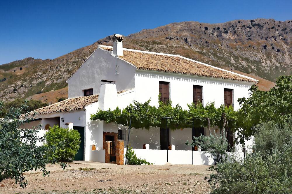 Photo of Others in Las Lagunillas