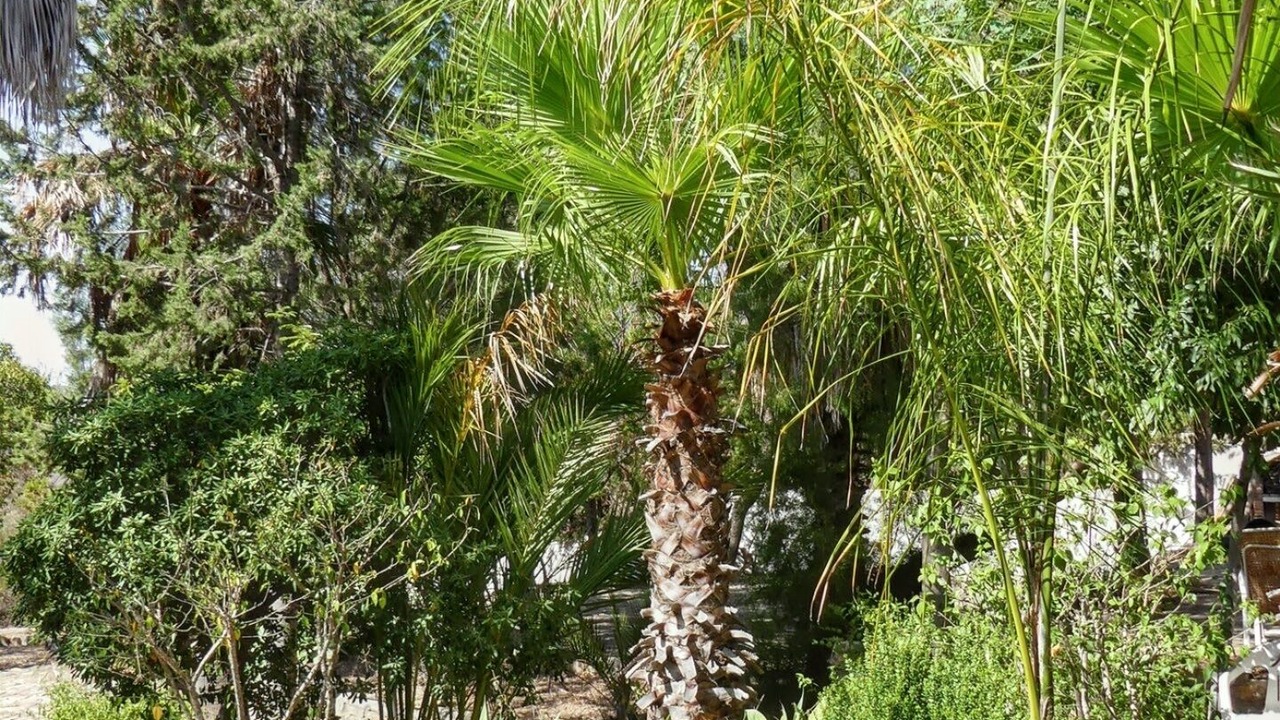 Photo of Outdoor in Puerto de la Torre