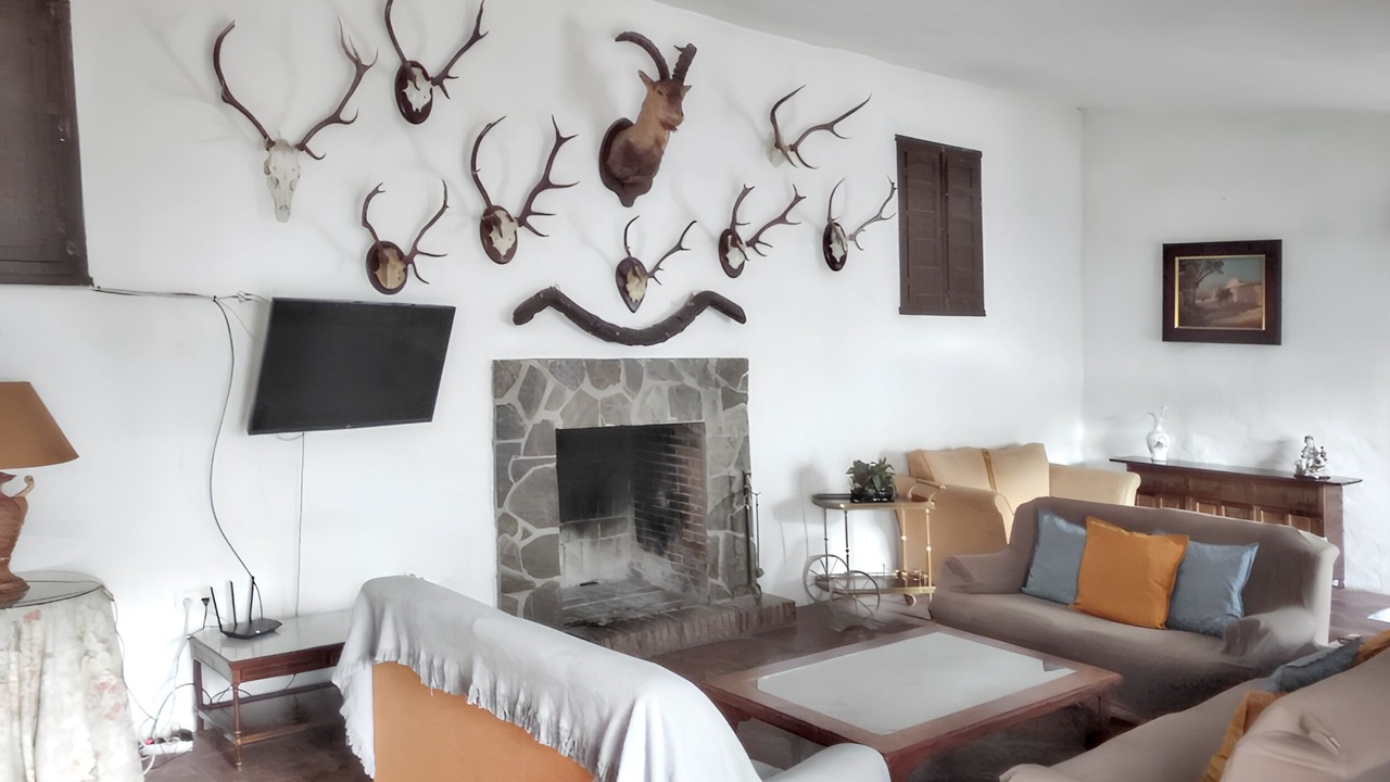 Photo of Livingroom in Puerto de la Torre