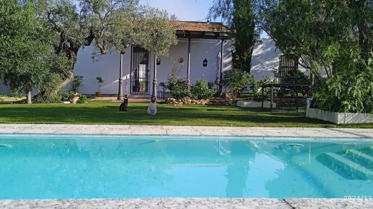 Photo of Outdoor in La Campana