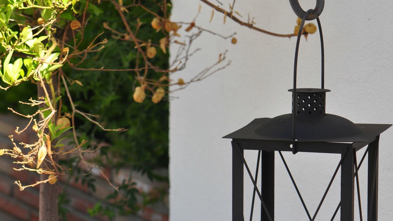 Photo of Outdoor in Distrito Sur