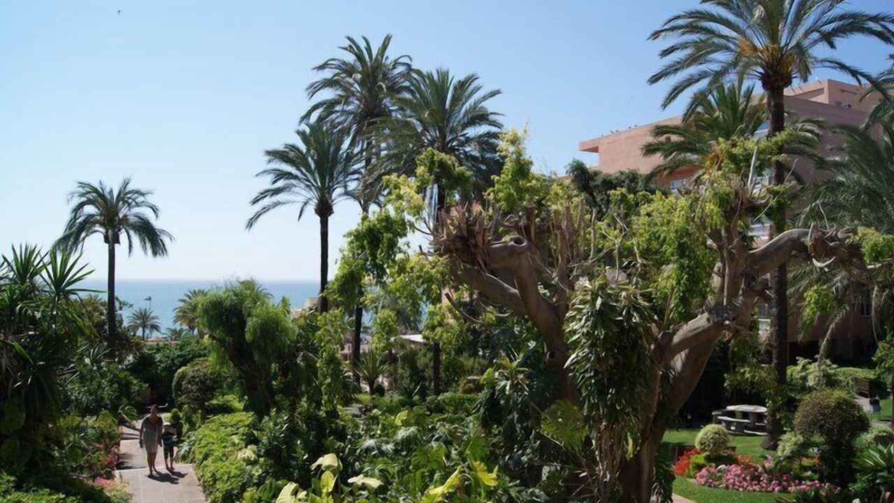 Photo of Outdoor in Benalmadena Costa