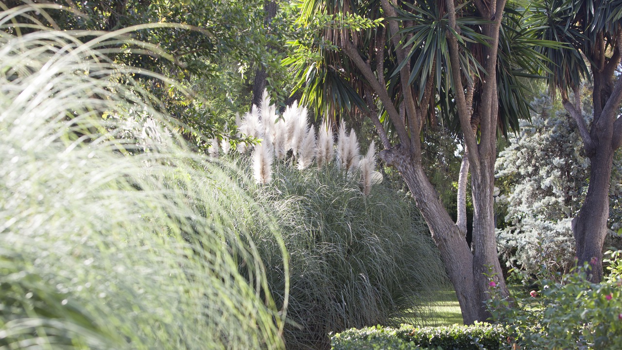 Photo of Outdoor in Jerez de la Frontera