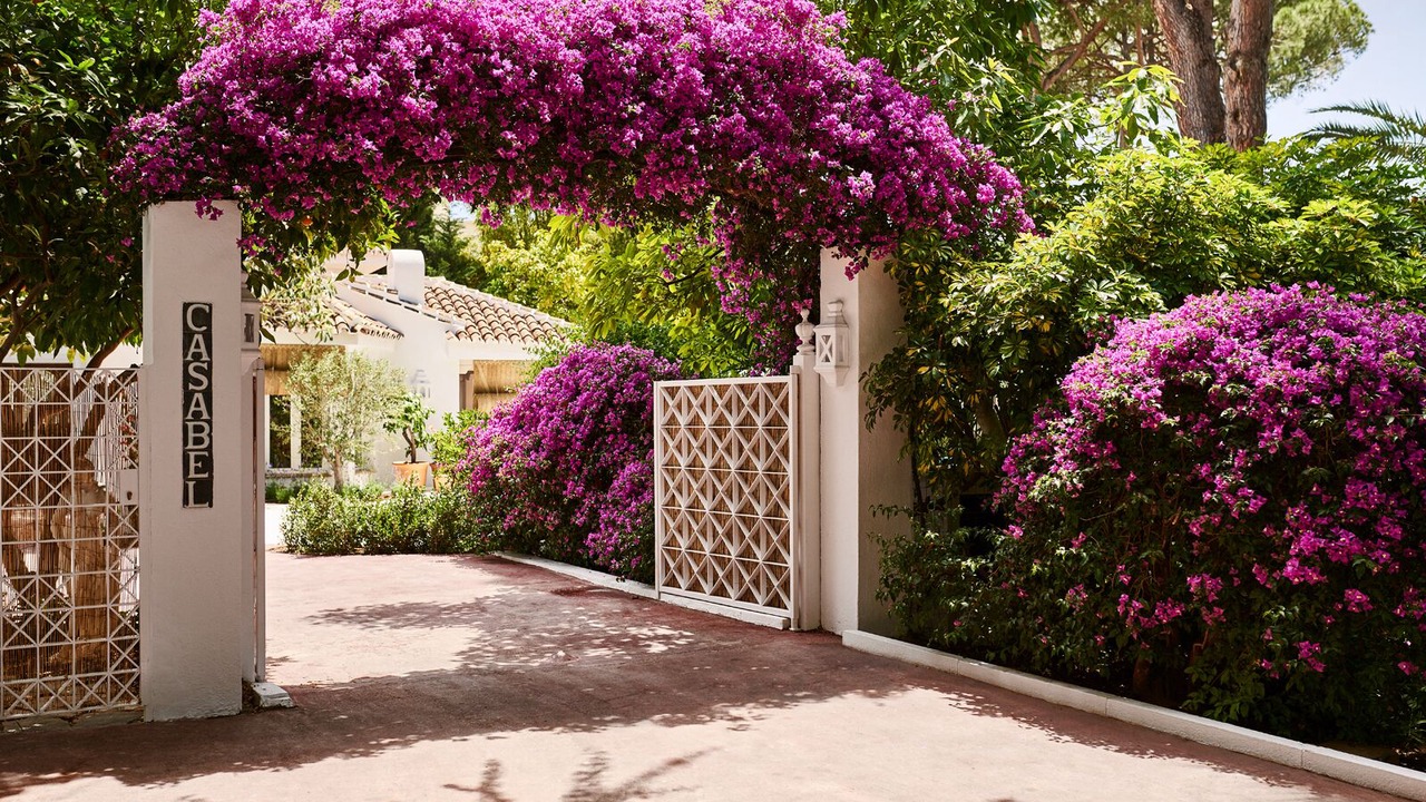 Photo of Patio Balcony in Golden Mile