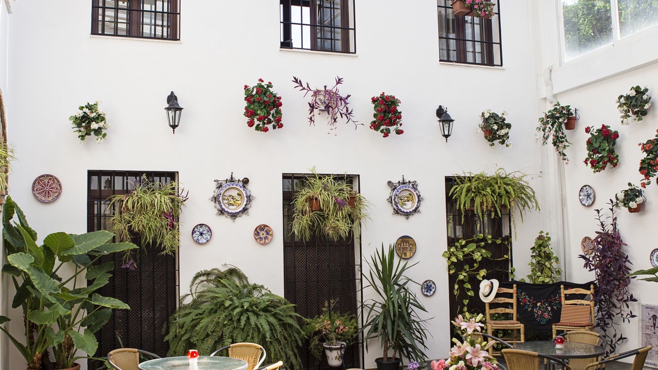 Photo of Others in Distrito Centro