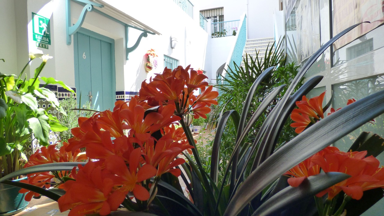 Photo of Outdoor in Sanlucar de Barrameda