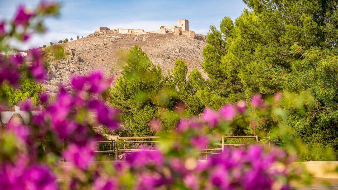 Photo of Outdoor in Teba