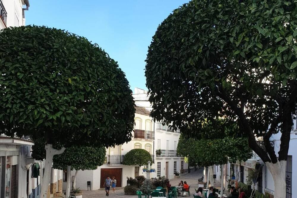 Photo of Outdoor in Ubrique