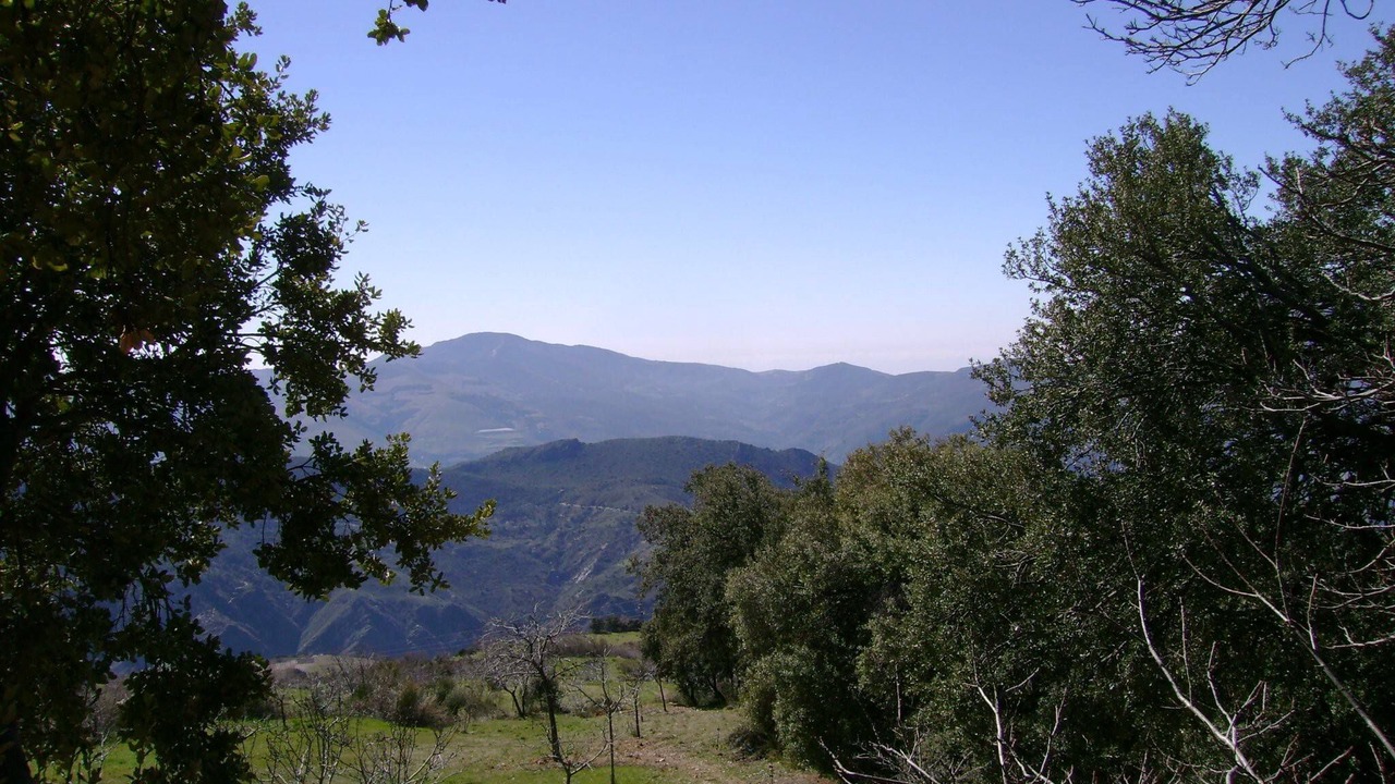 Photo of Others in La Taha