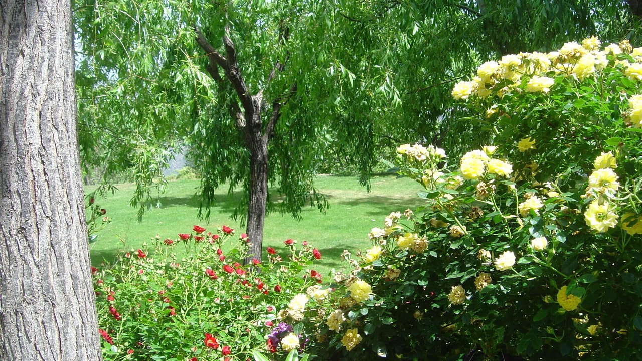 Photo of Outdoor in La Taha