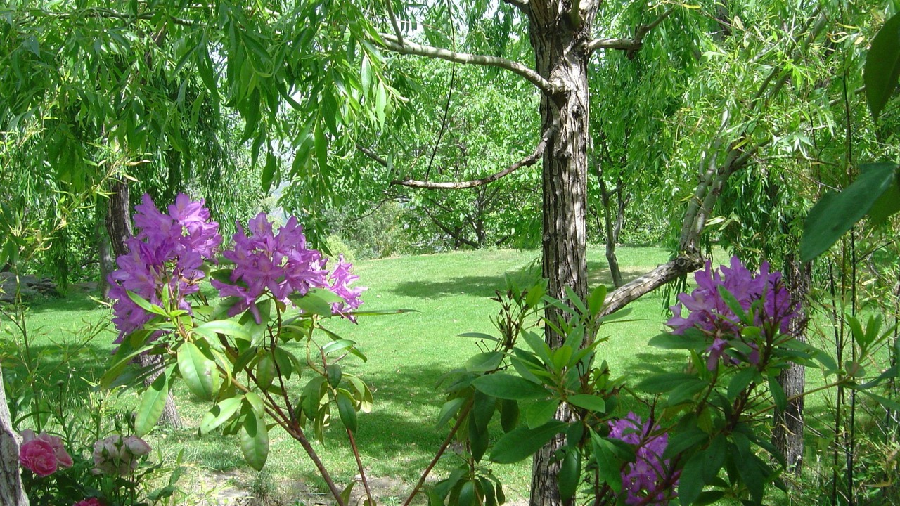 Photo of Outdoor in La Taha