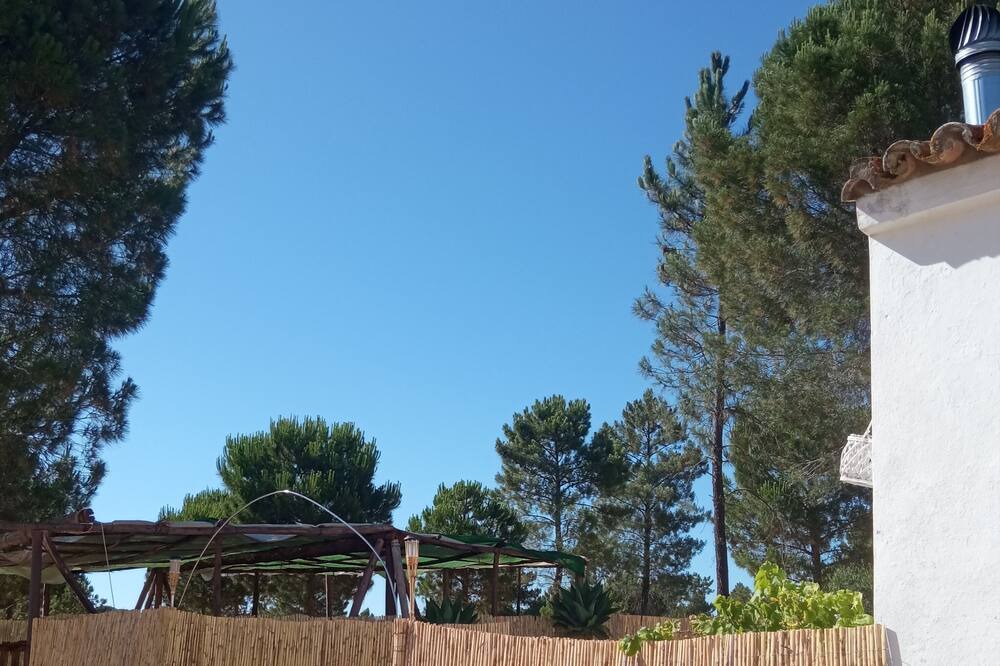 Photo of Outdoor in Valverde del Camino