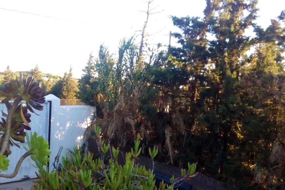 Photo of Outdoor in Medina-Sidonia