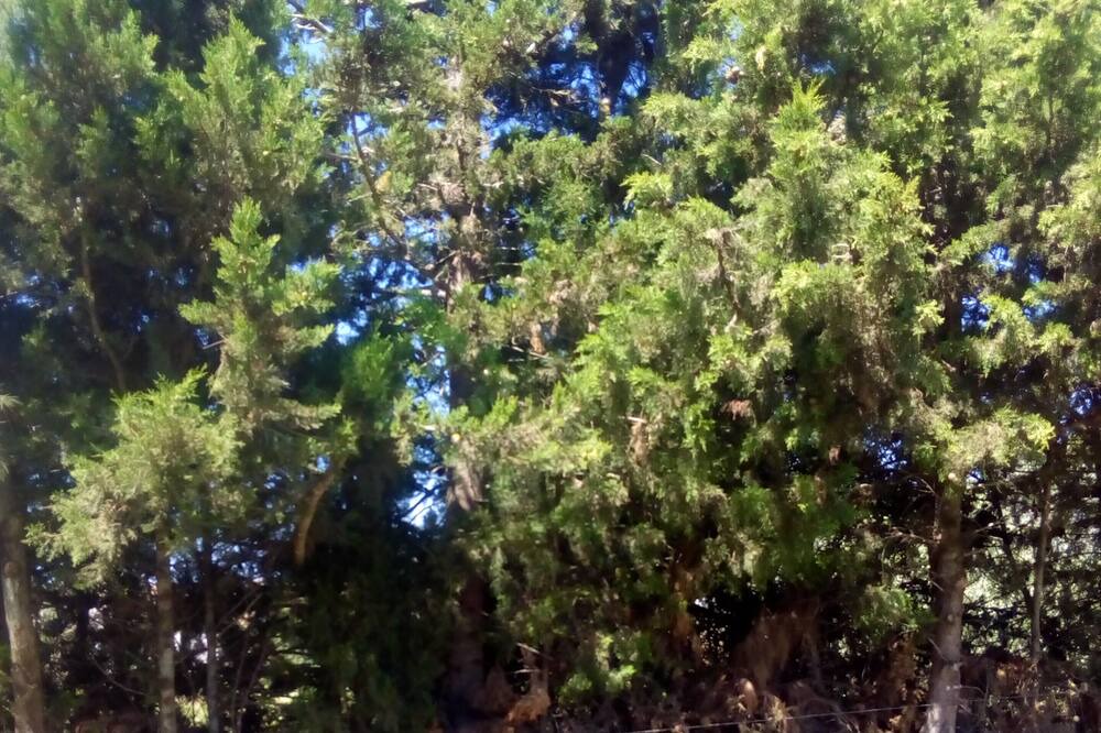 Photo of Outdoor in Medina-Sidonia