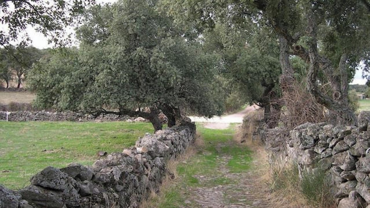 Photo of Outdoor in Montanchez
