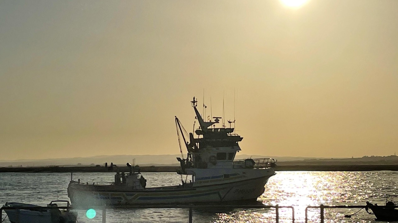 Photo of Others in Isla Cristina