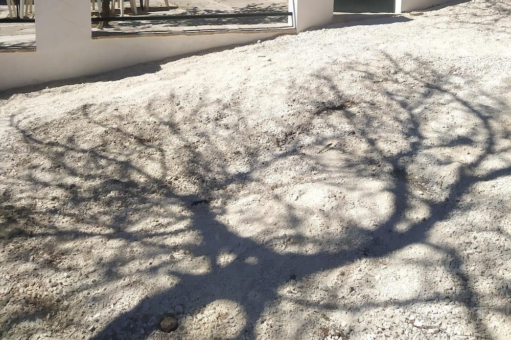 Photo of Others in Estepa
