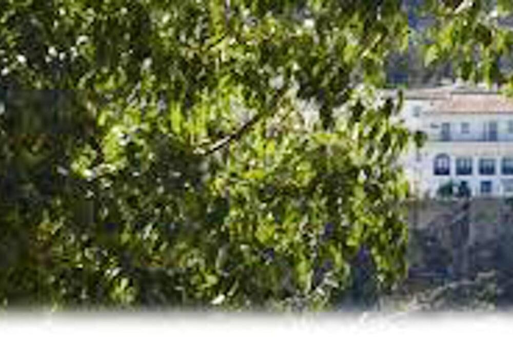 Photo of Outdoor in Grazalema
