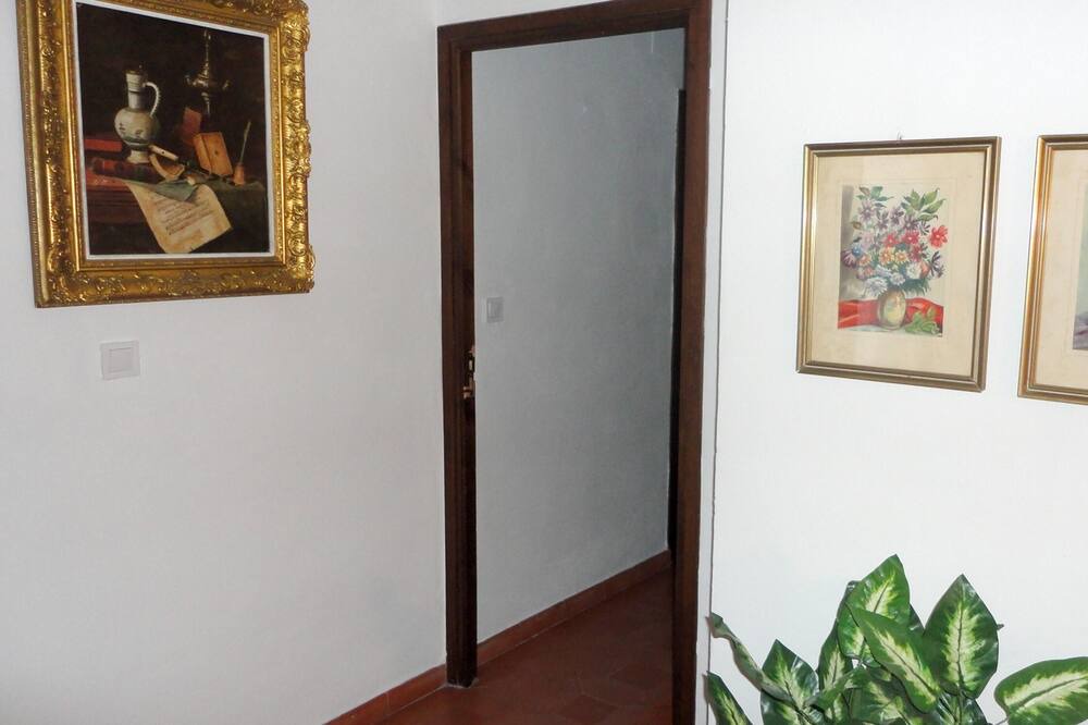 Photo of Others in Grazalema