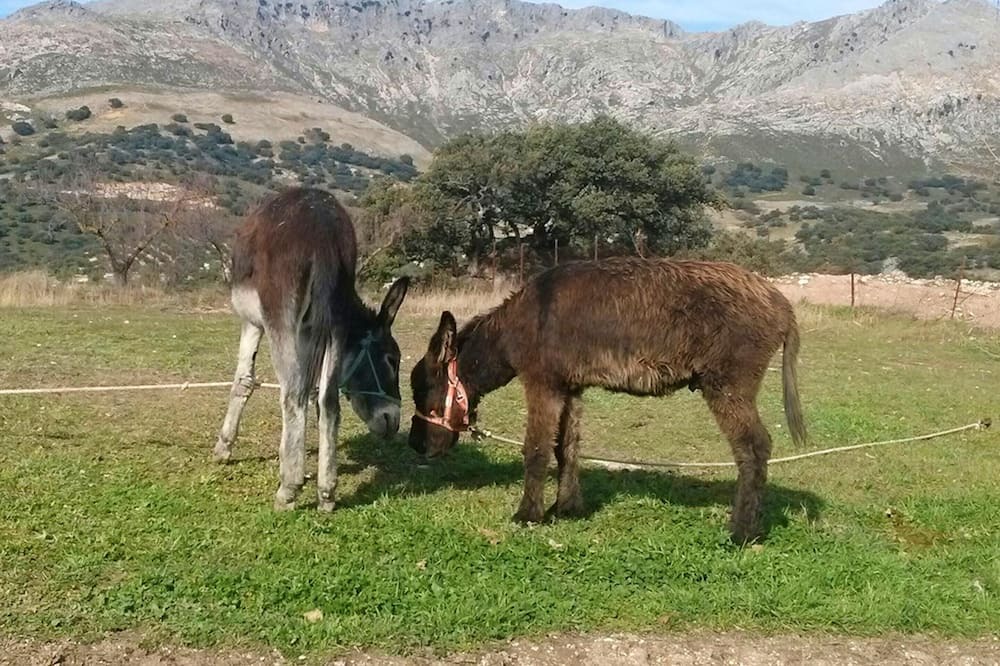 Photo of Others in Las Lagunillas