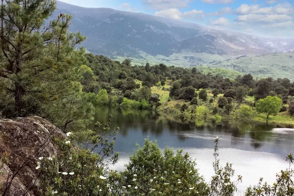Photo of Others in Navaluenga
