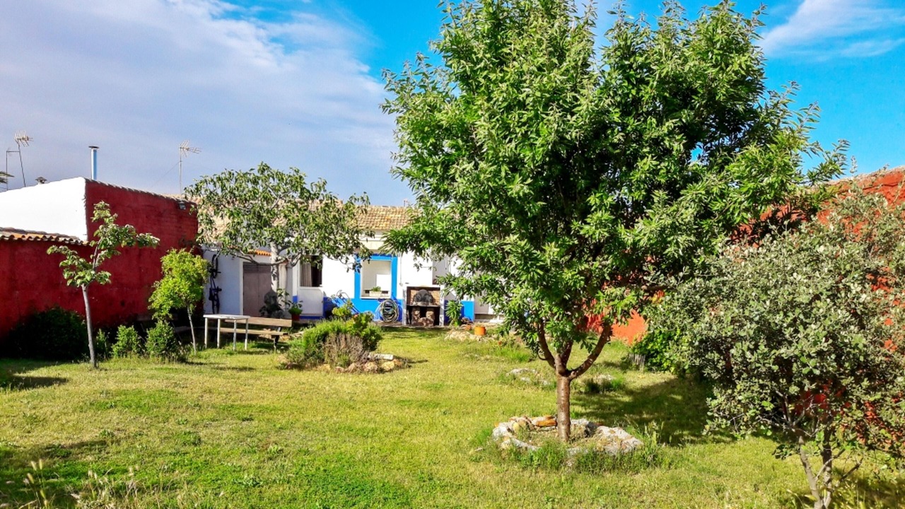 Photo of Outdoor in Picon