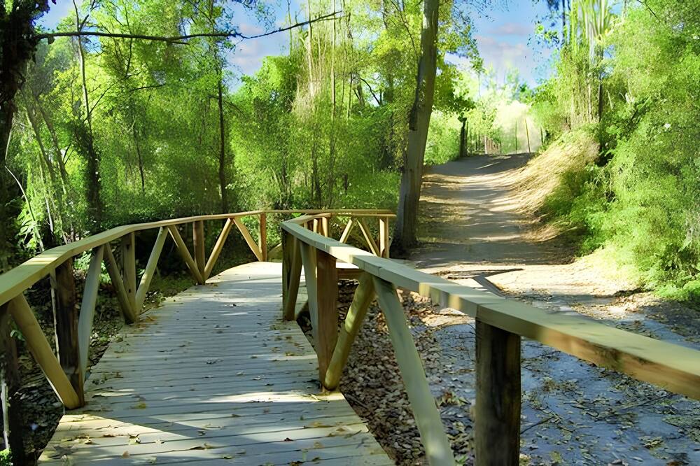 Photo of Outdoor in Prado del Rey