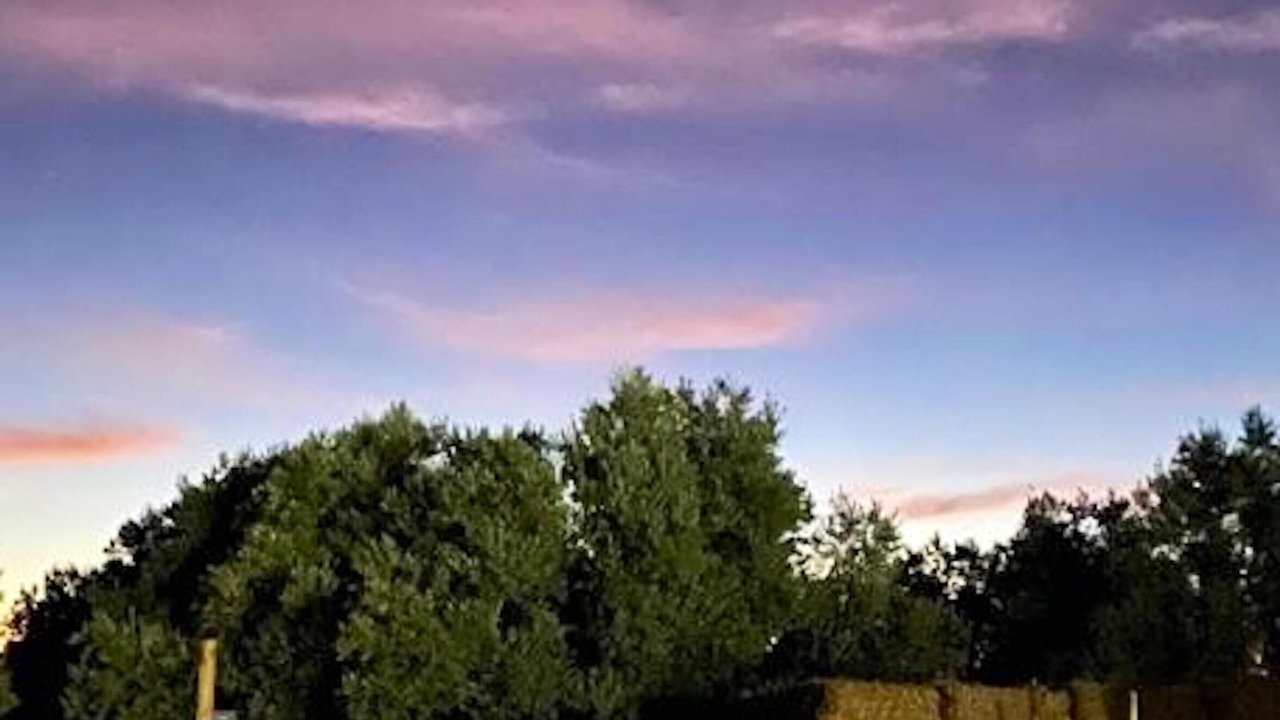 Photo of Outdoor in Villanueva del Rosario