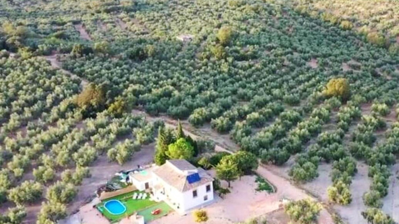 Photo of Outdoor in Villanueva del Rosario