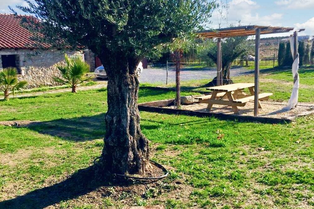 Photo of Outdoor in Villanueva del Duque