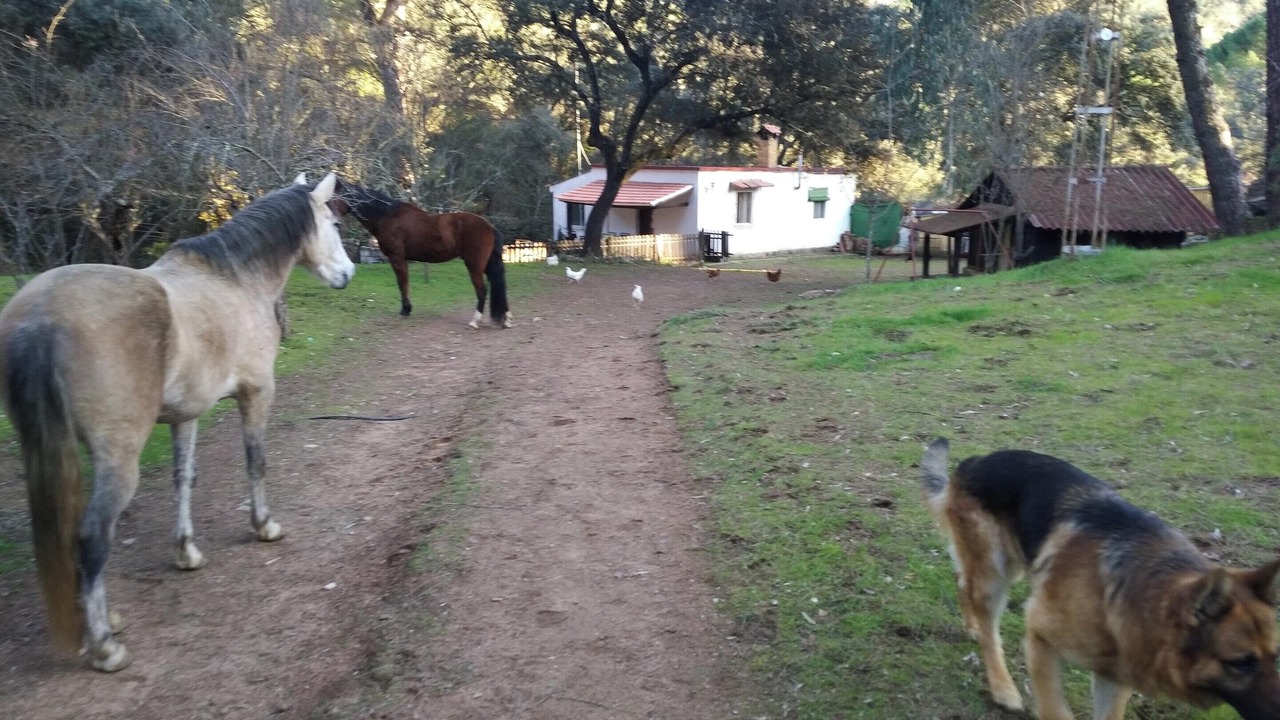Photo of Outdoor in Cordoba