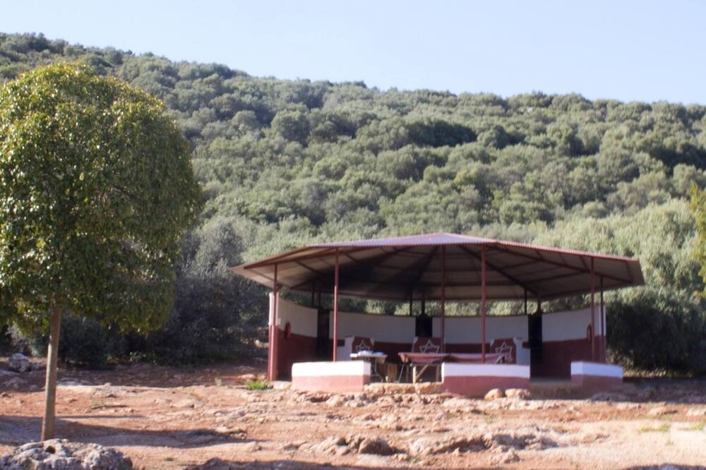 Photo of Outdoor in Estepa