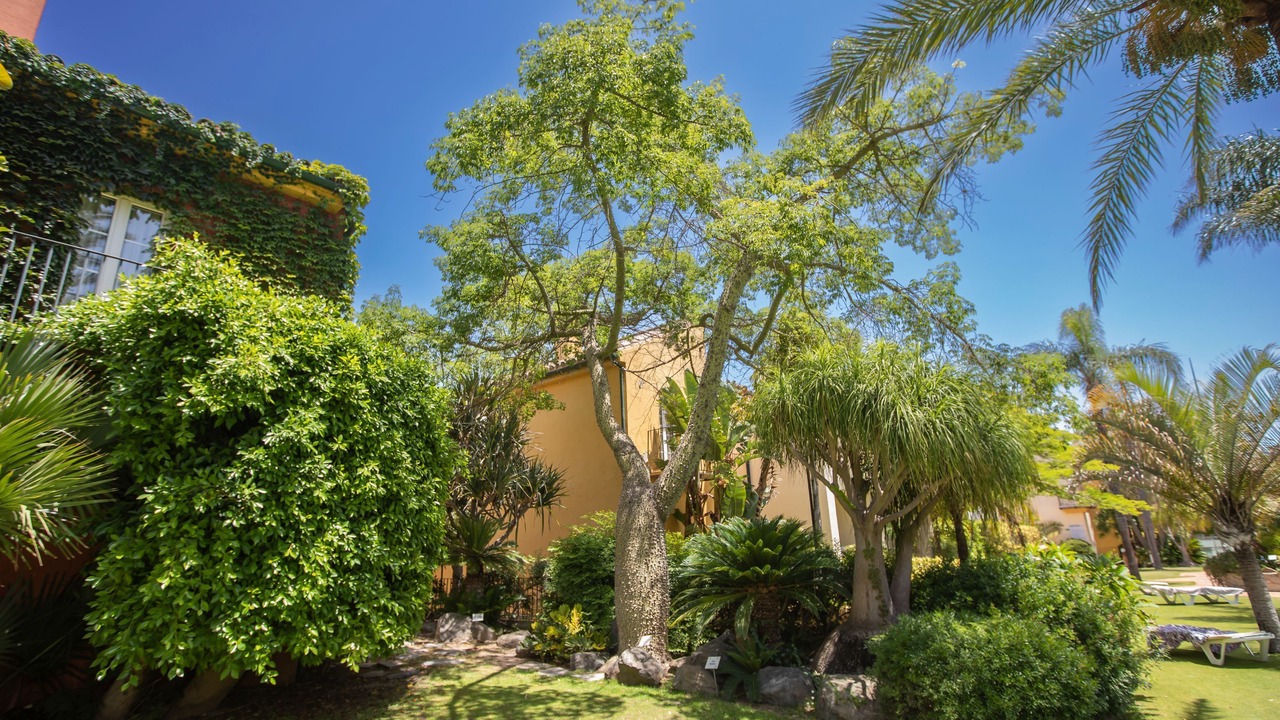 Photo of Outdoor in El Puerto de Santa Maria