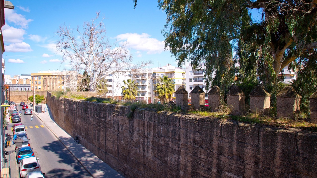 Photo of Outdoor in San Julian