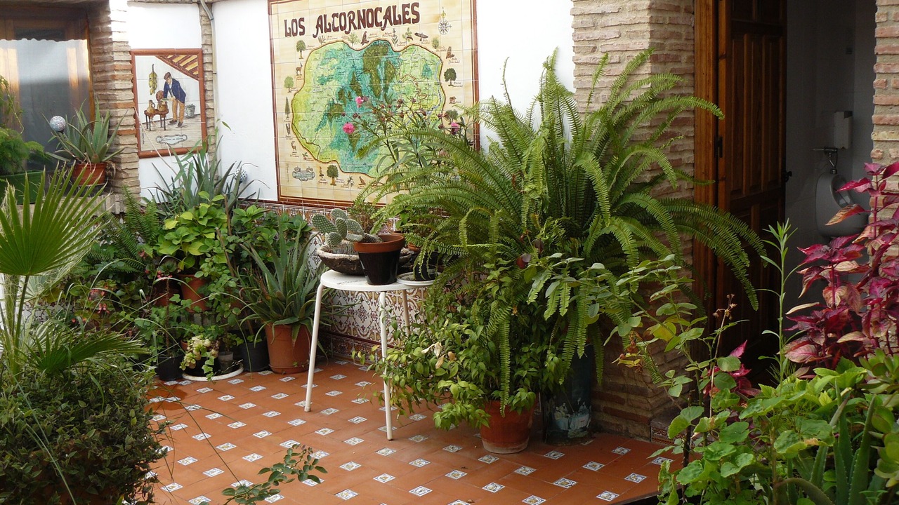 Photo of Others in El Colmenar