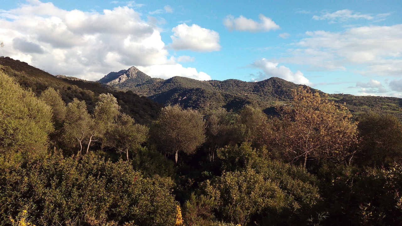 Photo of Outdoor in El Colmenar