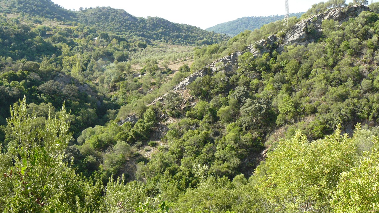 Photo of Outdoor in El Colmenar