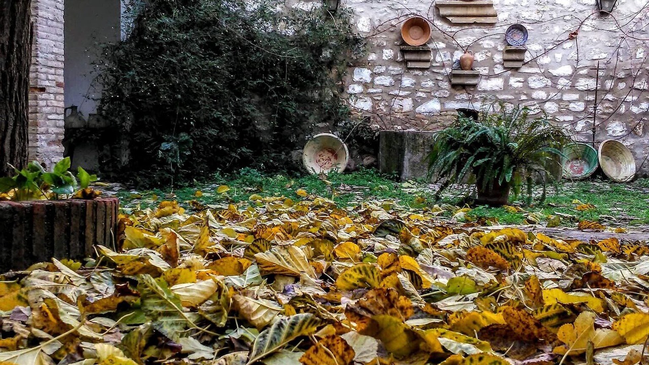 Photo of Outdoor in Ubeda
