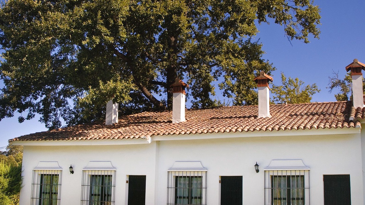 Photo of Outdoor in Galaroza