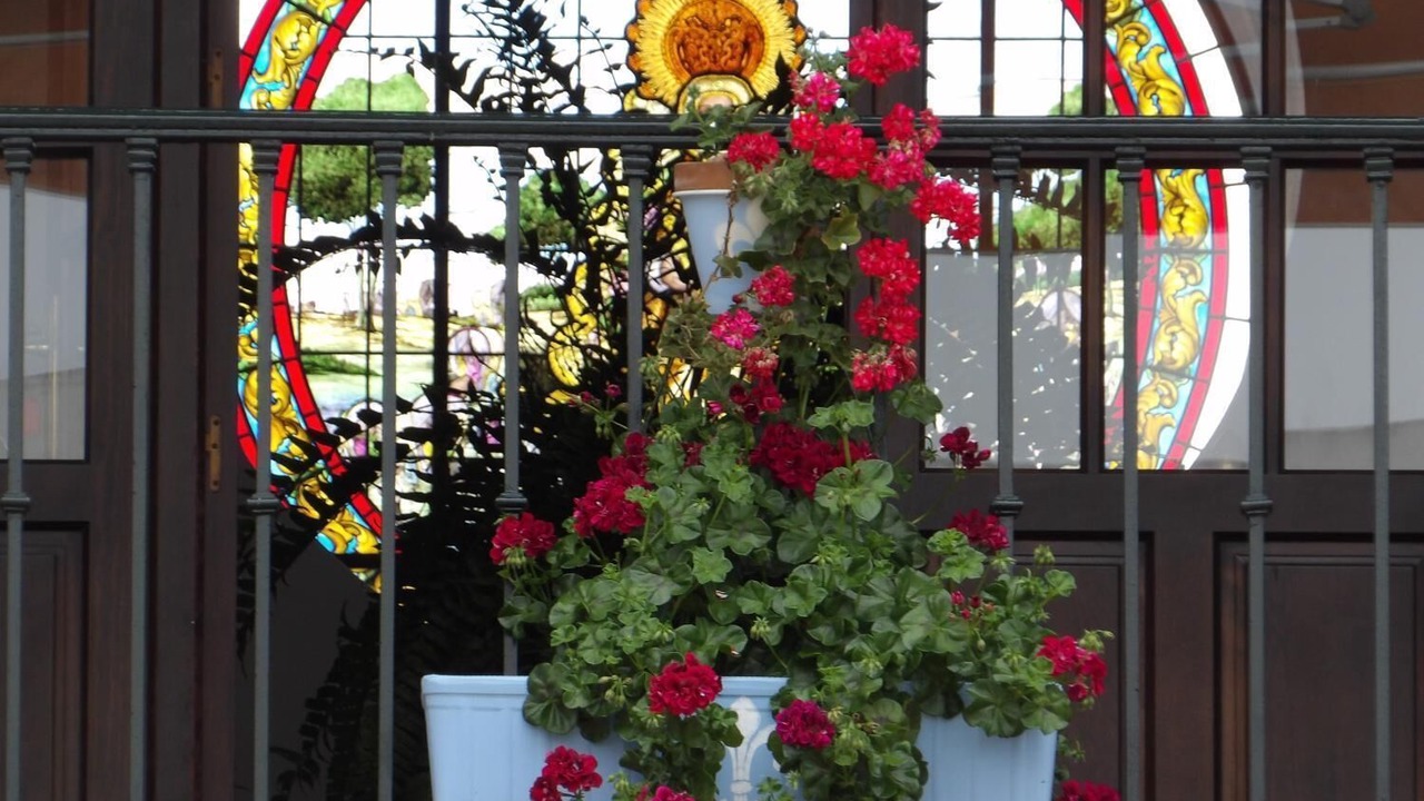 Photo of Patio Balcony in El Rocio