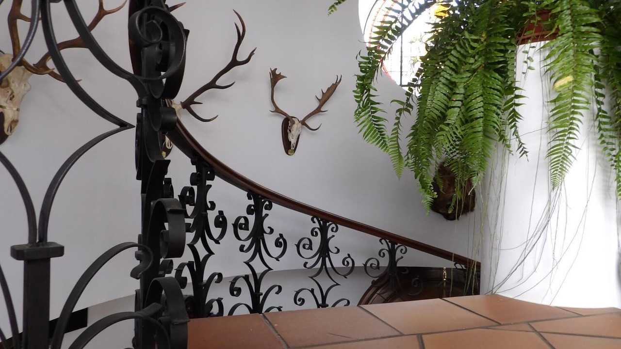 Photo of Outdoor in El Rocio